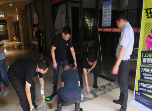 圖片2.png 圖片2.png