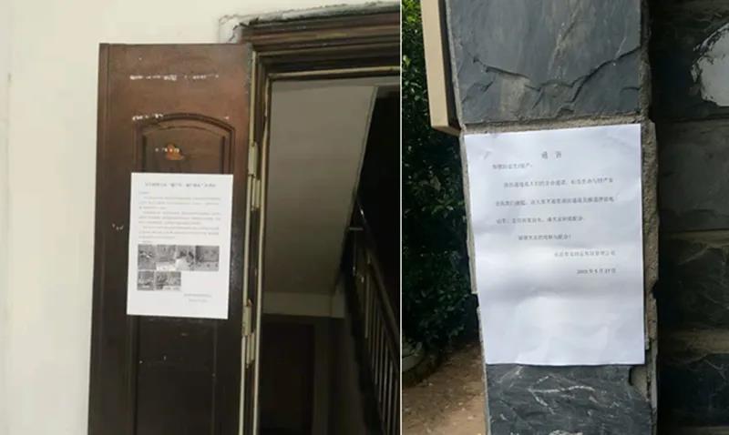 聚龍2.jpg 聚龍2.jpg