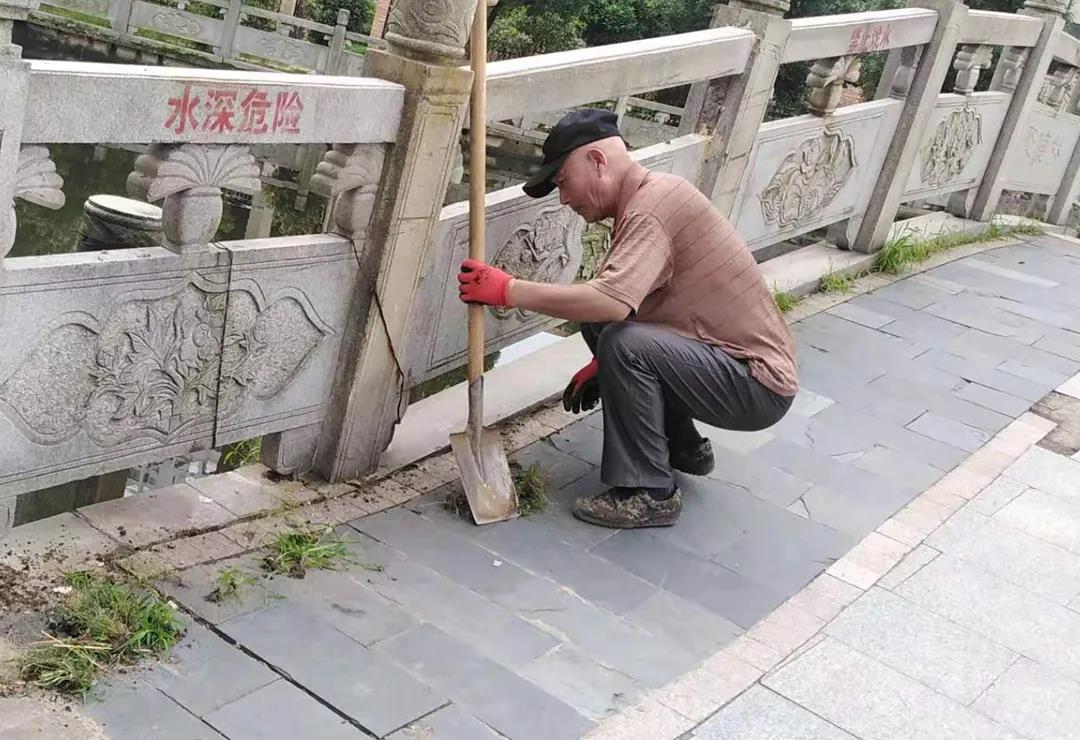 聚龍5.jpg 聚龍5.jpg