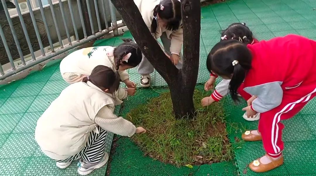 0a2153d9861c19b717a35b8a40a9f8df.jpg 0a2153d9861c19b717a35b8a40a9f8df.jpg