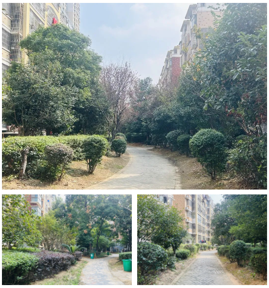 1697706008419.png 1697706008419.png