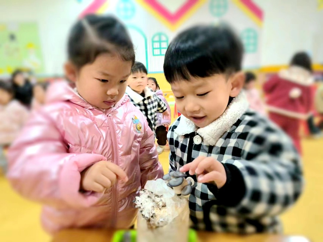 20.jpg 20.jpg